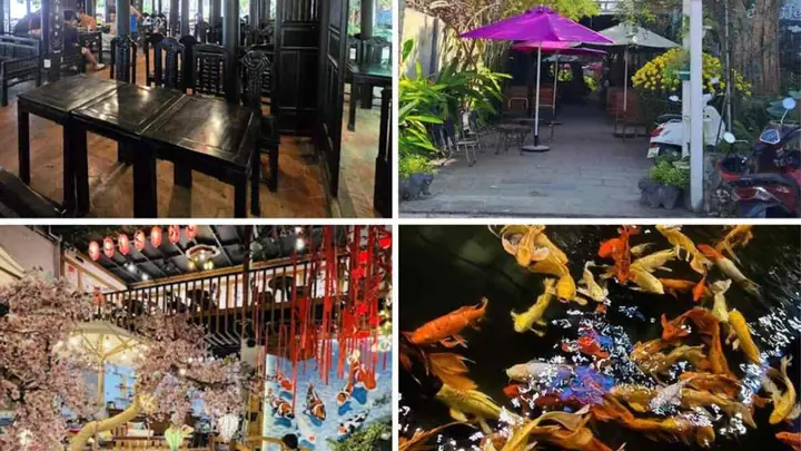 Top 5 Quán Cafe Cá Koi Đẹp Nhất Quy Nhơn | Xanh Sm