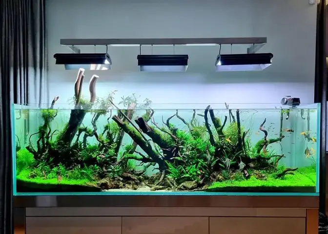 Tiêu Chí Lựa Chọn Dịch Vụ Sửa Chữa Bể Cá Cảnh Tphcm Uy Tín