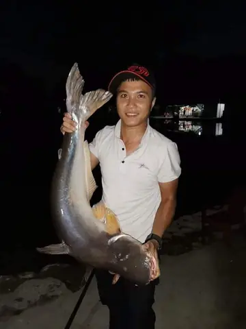 Hồ Câu 117 Hồ Câu 117