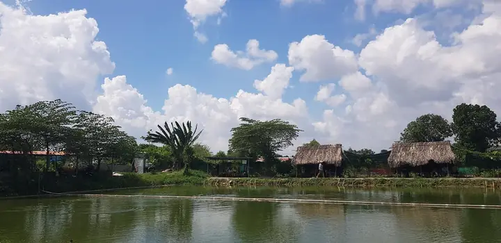 Hồ Câu Thanh Hải Hồ Câu Thanh Hải