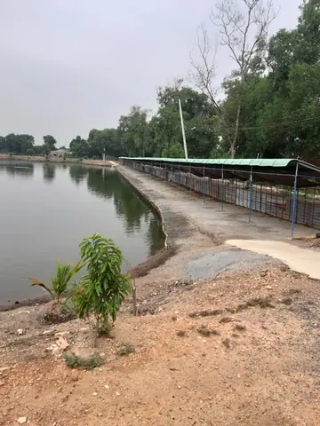 Hồ Câu Cá Giải Trí Đại Hải Hồ Câu Cá Giải Trí Đại Hải