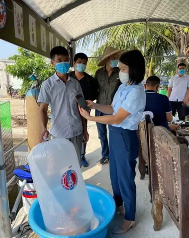 Diện Tích Nuôi Cá Koi