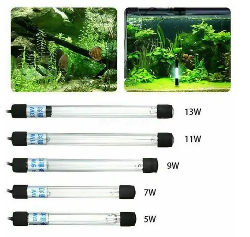 Diệt Khuẩn Hồ Cá Diệt Khuẩn Hồ Cá