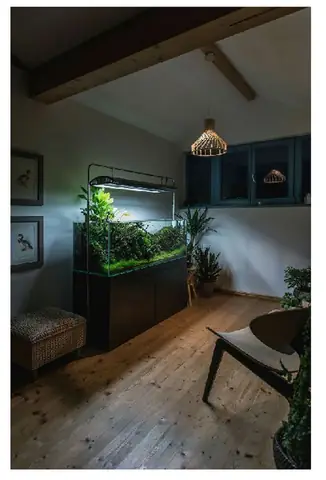 Diệt Khuẩn Hồ Cá Diệt Khuẩn Hồ Cá