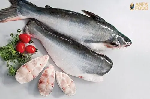 Cung Cấp Protein Chất Lượng Cao