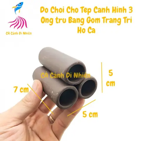 Tổng Hợp Đồ Chơi Cho Cá Cảnh: Bí Quyết Tạo Môi Trường Sống Lý Tưởng