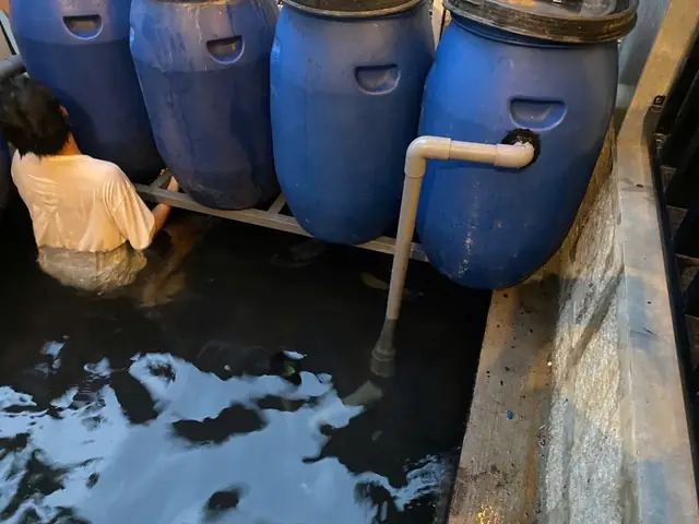 / Sơ Đồ Hệ Thống Lọc Thùng Nhựa Rời Hồ Cá Koi