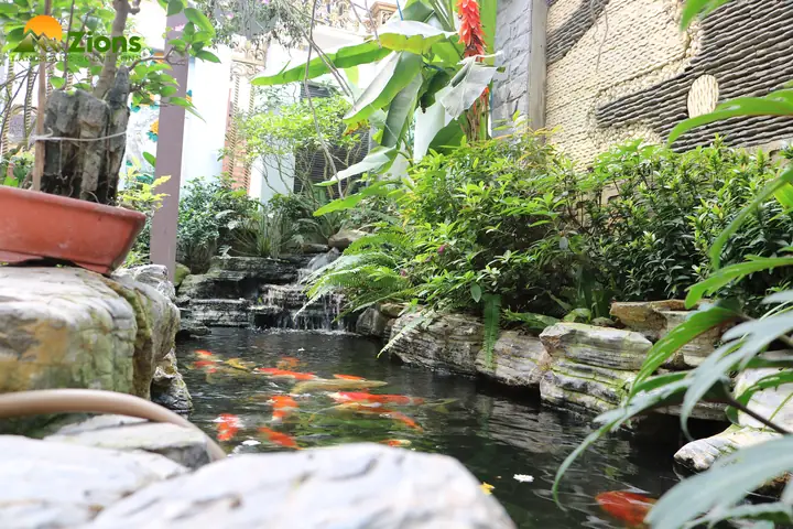 Tiêu Chí Đánh Giá Một Hồ Cá Koi Đạt Chuẩn- Cảnh Quan ...