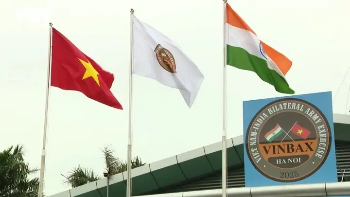 Phân Tích Tập 27 Đội Chó Cứu Hộ: Bài Học Về Tình Bạn Và Trách Nhiệm Phân Tích Tập 27 Đội Chó Cứu Hộ: Bài Học Về Tình Bạn Và Trách Nhiệm