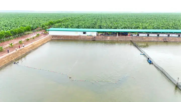 Tại Sao Nên Bắt Đầu Dự Án Nuôi Cá Nước Ngọt?