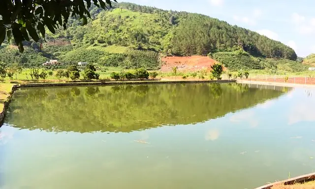 Dự Án Nuôi Cá Nước Ngọt: Hướng Dẫn Toàn Diện, Kỹ Thuật Và Chiến Lược Kinh Doanh