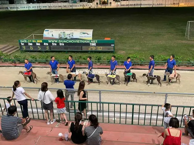 Địa Điểm Tổ Chức Đua Chó Vũng Tàu Ở Đâu?