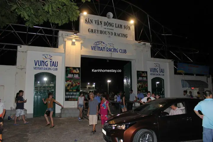 Lịch Đua, Giá Vé Và Cách Đặt Cược Đua Chó