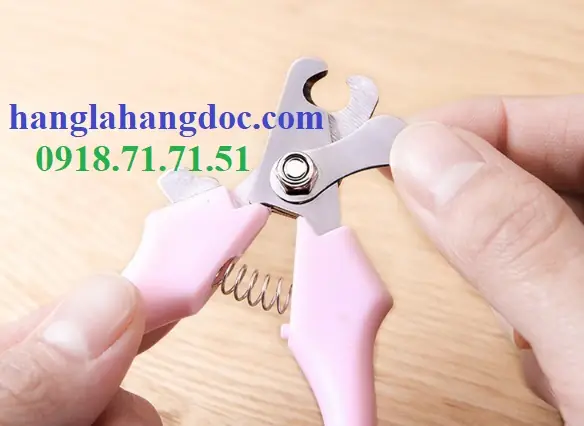 Dụng Cụ Cắt Móng Chân Cho Chó: Hướng Dẫn Từ Chuyên Gia Động Vật Học Dụng Cụ Cắt Móng Chân Cho Chó: Hướng Dẫn Từ Chuyên Gia Động Vật Học