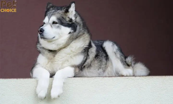 Tạo Thói Quen Đi Vệ Sinh Đúng Giờ Tạo Thói Quen Đi Vệ Sinh Đúng Giờ