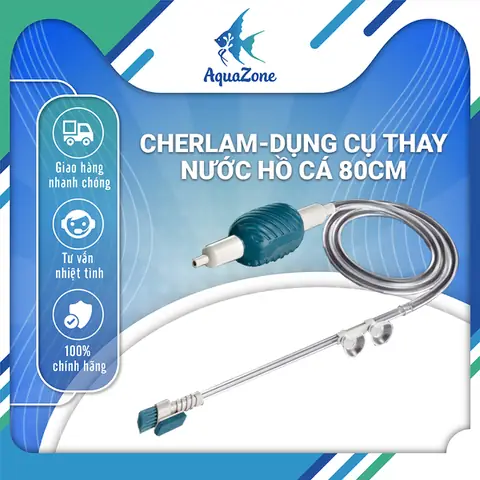 Dụng Cụ Hồ Cá: Cẩm Nang Chọn Mua Và Sử Dụng Cho Người Mới Bắt Đầu