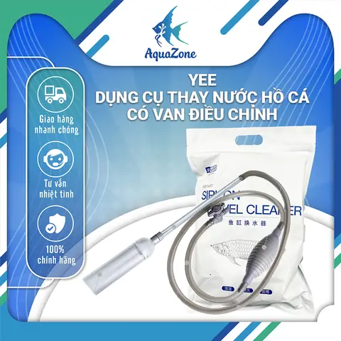 Dụng Cụ Hồ Cá: Cẩm Nang Chọn Mua Và Sử Dụng Cho Người Mới Bắt Đầu
