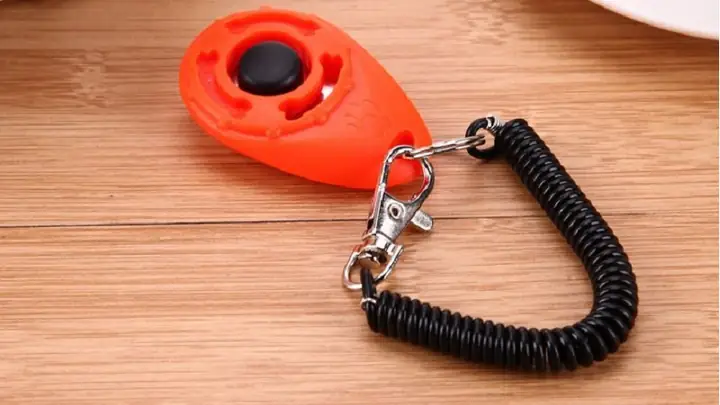 2clicker Huấn Luyện Chó