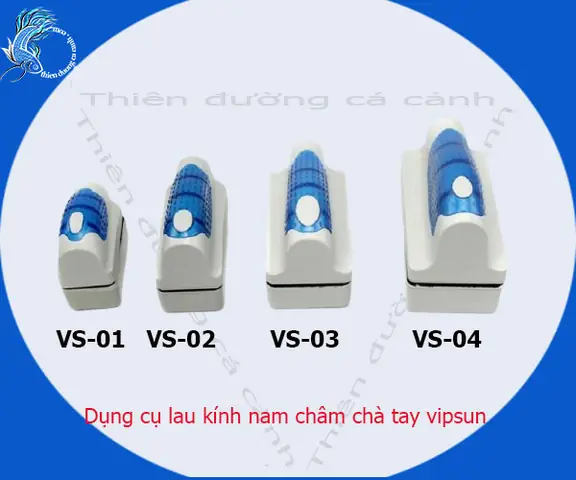 Hướng Dẫn Chi Tiết Cách Sử Dụng Dụng Cụ Lau Kính Hồ Cá Hiệu Quả Tại Hanoi Zoo