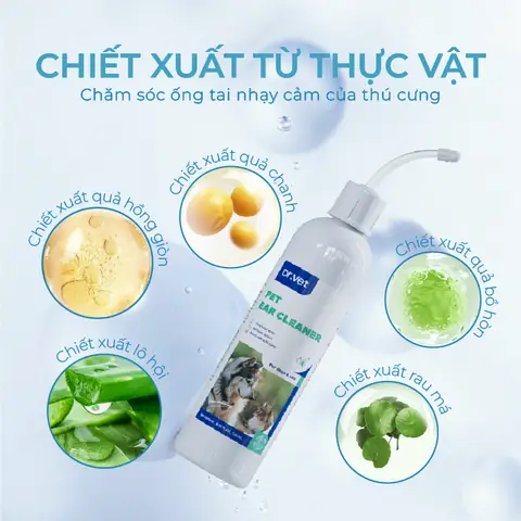 Thành Phần Chính