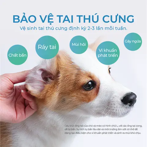 Thông Số Kỹ Thuật, Chất Lượng Sản Phẩm