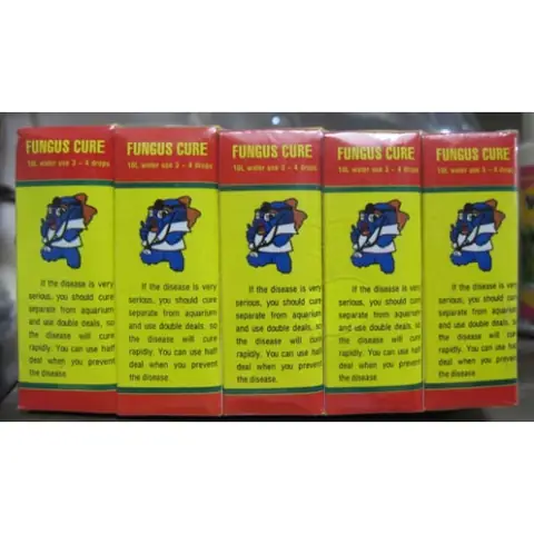 Fungus Cure Cho Cá: Hướng Dẫn Khoa Học & Hiệu Quả Để Điều Trị Bệnh Nấm Cá Cảnh Fungus Cure Cho Cá: Hướng Dẫn Khoa Học & Hiệu Quả Để Điều Trị Bệnh Nấm Cá Cảnh