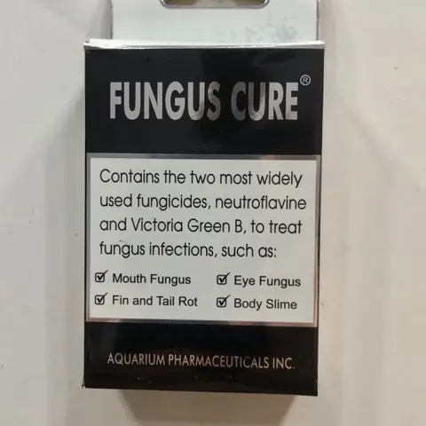 Fungus Cure Cho Cá: Hướng Dẫn Khoa Học & Hiệu Quả Để Điều Trị Bệnh Nấm Cá Cảnh Fungus Cure Cho Cá: Hướng Dẫn Khoa Học & Hiệu Quả Để Điều Trị Bệnh Nấm Cá Cảnh
