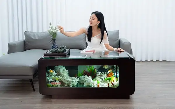 Có Nên Mua Bàn Trà Tích Hợp Bể Cá Aquap? Có Nên Mua Bàn Trà Tích Hợp Bể Cá Aquap?
