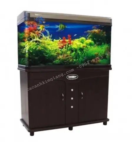 Giá Bể Cá Cảnh 1m: Bảng Giá Chi Tiết & Hướng Dẫn Chọn Mua Phù Hợp