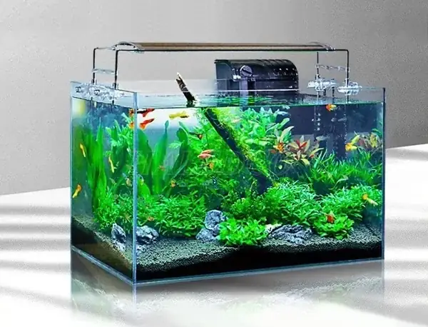 Hình Ảnh Mẫu Hồ Thủy Sinh 60x40x40