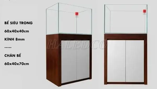 Giá Hồ Thủy Sinh 60x40x40 Kinh 8 Ly Mới Nhất