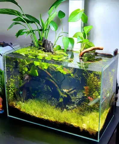 Mẫu Bể Cá Cảnh Đúc 1m2 Từ Acrylic