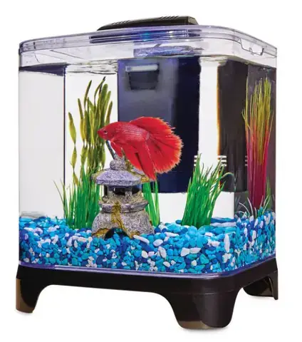 Bể Cá Cảnh Đúc 1m2 Từ Acrylic