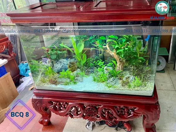 Bể Cá Chân Quỳ: Nét Đẹp Cổ Điển Trong Không Gian Hiện Đại Bể Cá Chân Quỳ: Nét Đẹp Cổ Điển Trong Không Gian Hiện Đại