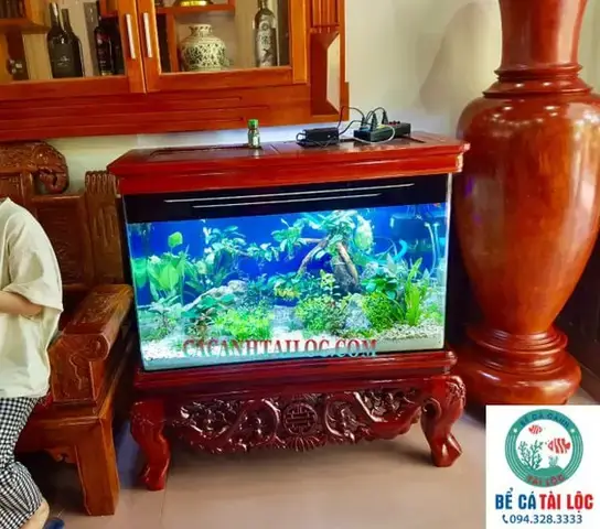 Giá Bể Cá Chân Quỳ Hiện Nay: Bảng Giá Tham Khảo Và Phân Tích Giá Bể Cá Chân Quỳ Hiện Nay: Bảng Giá Tham Khảo Và Phân Tích