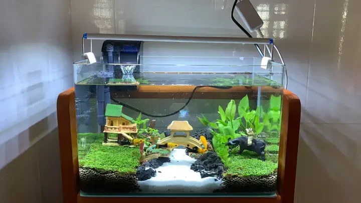 Tìm Hiểu Chung Về Bể Cá Đúc Đài Loan