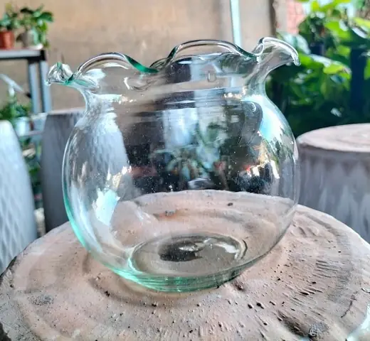 Bình Thủy Tinh Nuôi Cá: Hướng Dẫn Chọn Mua, Cách Trang Trí Và Bảo Dưỡng Bình Thủy Tinh Nuôi Cá: Hướng Dẫn Chọn Mua, Cách Trang Trí Và Bảo Dưỡng