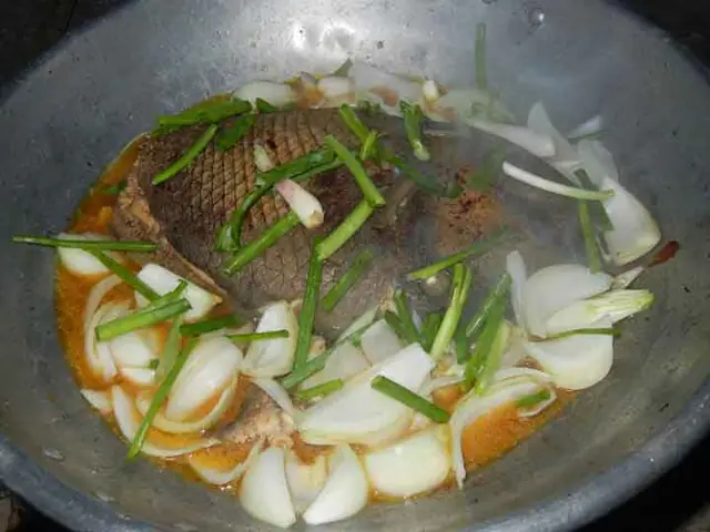 Giá Cá Bò Da Giáp Tươi Tại Tphcm