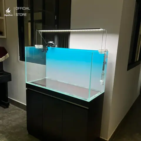 Chọn Bể Cá Phù Hợp Chọn Bể Cá Phù Hợp