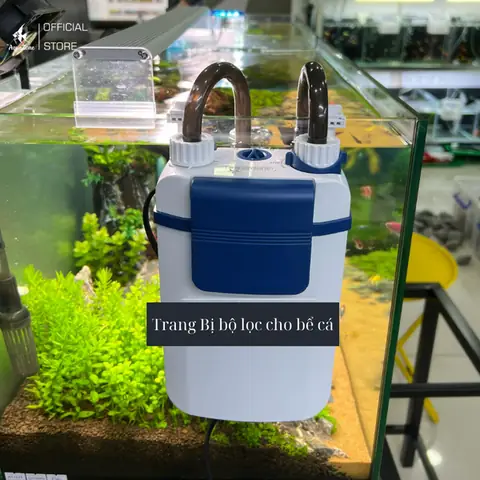 Chất Lượng Nước Chất Lượng Nước