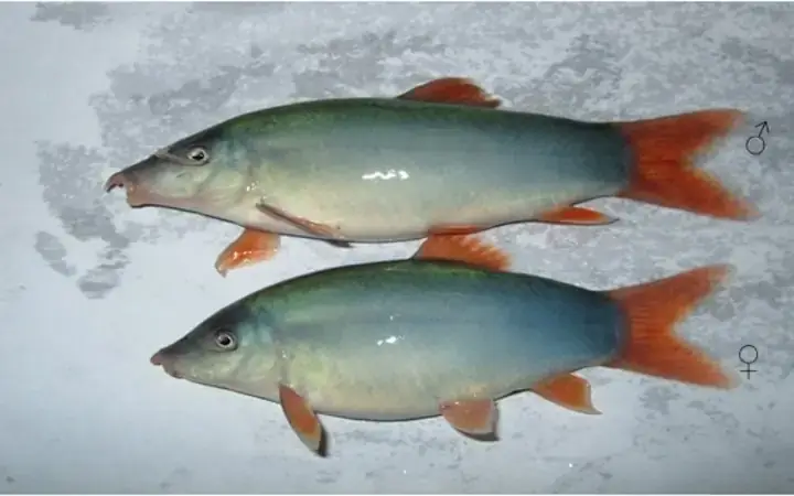 Dấu Hiệu Sức Khỏe Tốt Dấu Hiệu Sức Khỏe Tốt