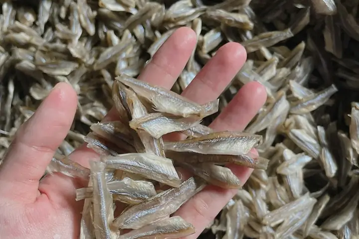 Cá Lòng Tong Tươi Sau Khi Phơi Khô