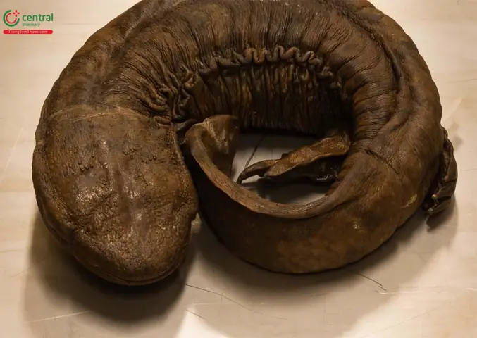 Lựa Chọn Môi Trường Sống