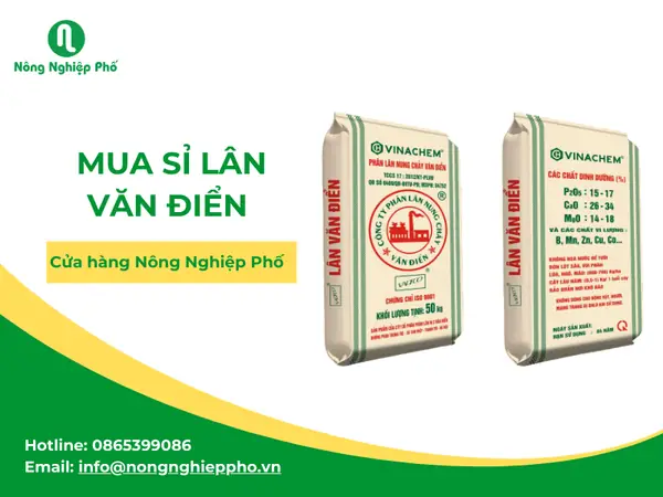 Giá Cám Cá Dabaco 2024: Cập Nhật Chi Tiết Bảng Giá & Hướng Dẫn Chọn