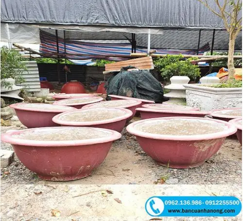 Chậu Tròn Trồng Cây Đường Kính 80cm