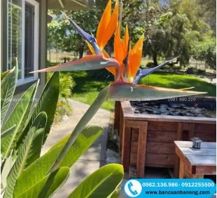 Cây Thiên Điểu Mỏ Hạc (hoa Chim Thiên Đường) Trồng Sân Vườn Cực Xinh