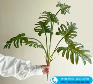 Cây Trầu Bà Chân Vịt Giả Trang Trí Nội Thất, Quán Cafe