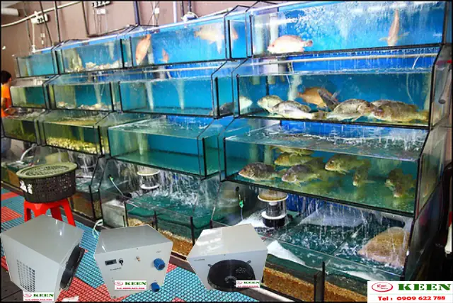 Nhược Điểm Của Máy Làm Lạnh Nước Hồ Cá Mini.
