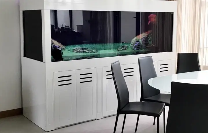 Giá Hồ Cá Rồng