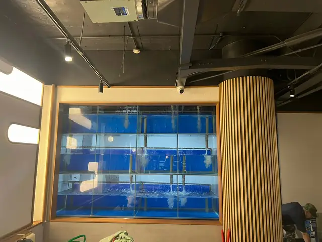 Sử Dụng Rêu Bùn Để Giảm Ph Trong Hồ Cá Rồng